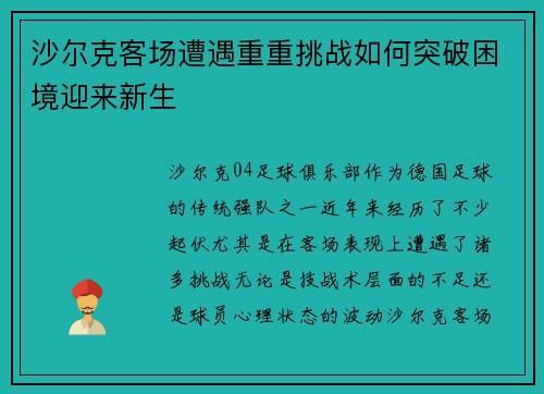 沙尔克客场遭遇重重挑战如何突破困境迎来新生 沙尔克客场遭遇重重挑战如何突破困境迎来新生